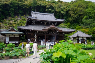 三室戸寺の写真
