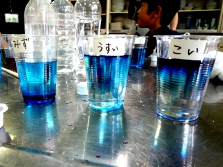 塩水実験4