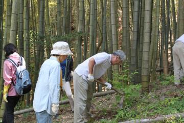 竹の子掘り