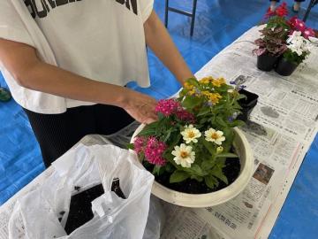 寄せ植え2