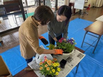 寄せ植え1