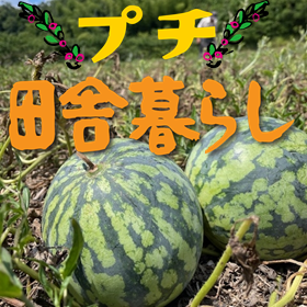 プチ田舎暮らしチラシ